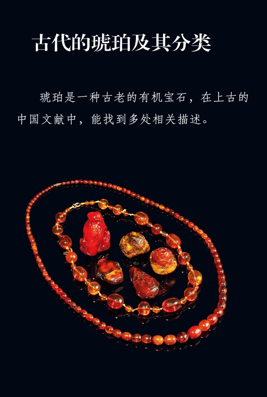 琥珀博物馆遗玉图片,博物馆战国时期玉璧