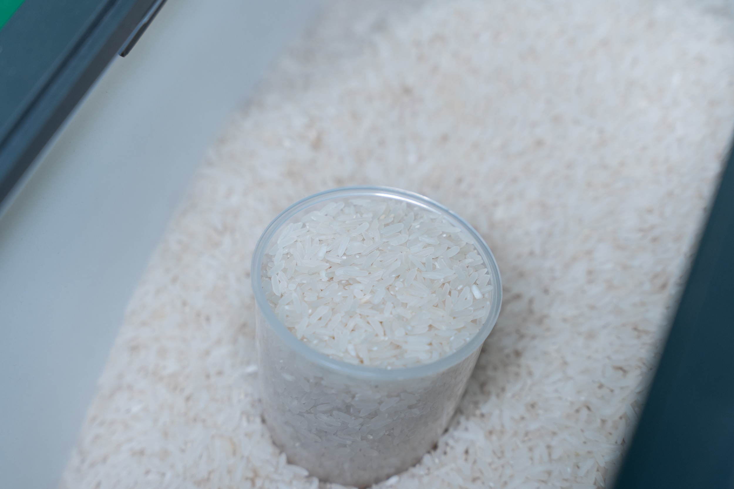 能煮三斤米饭用多大的电饭锅,东芝电饭煲超快煮