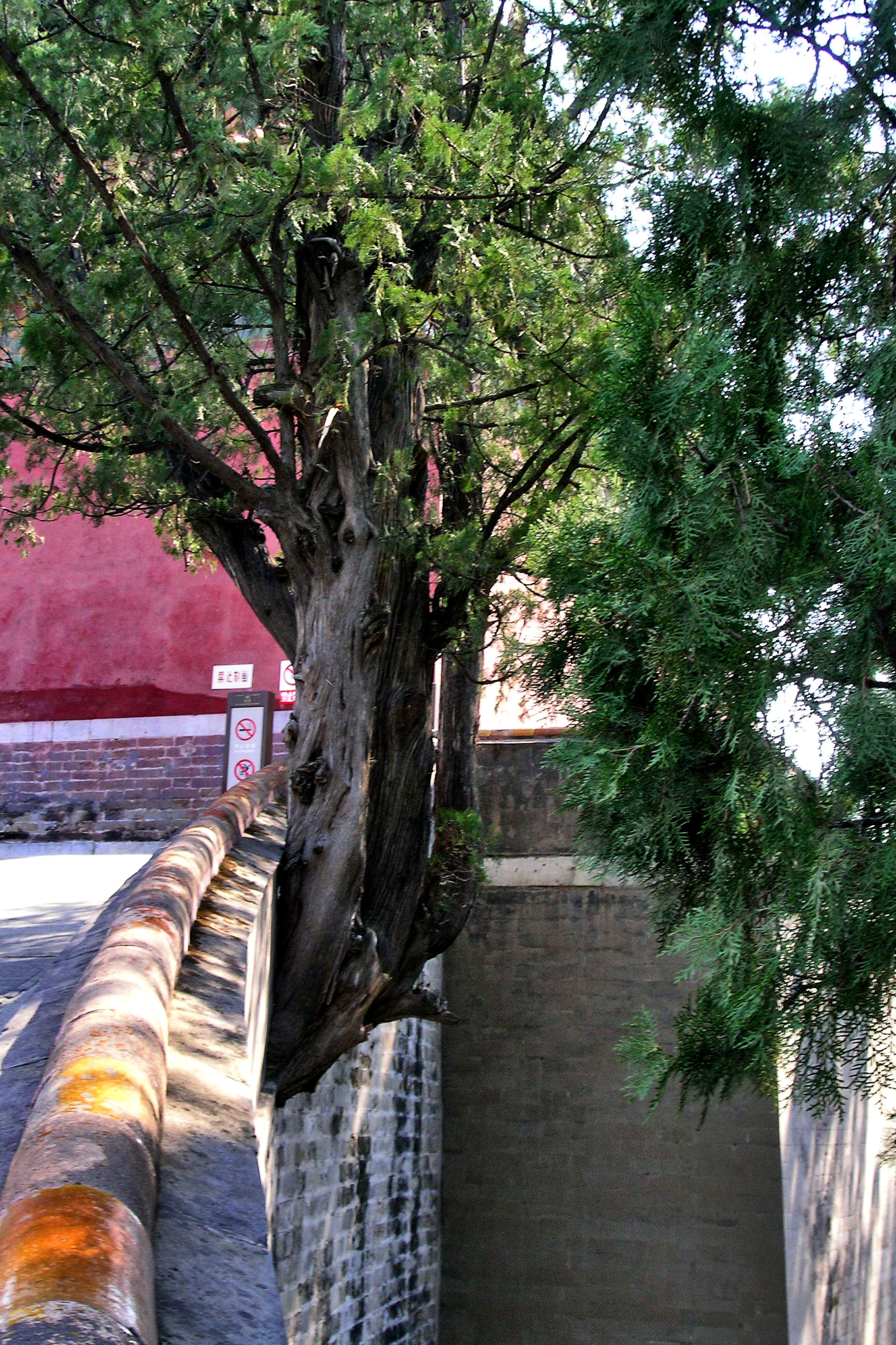 十三陵长陵殉葬,给爷爷下葬