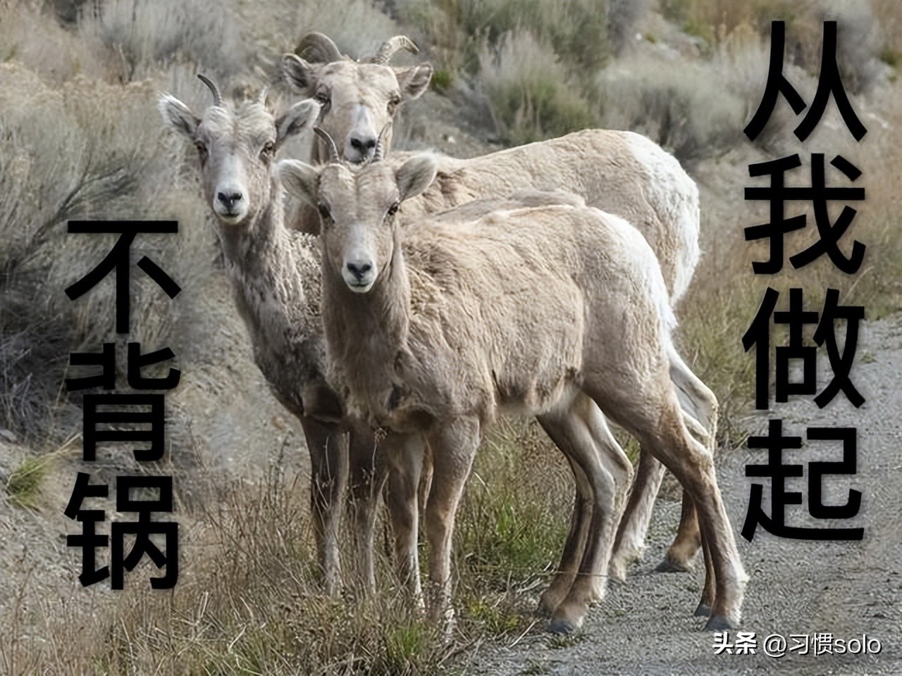 国泰工会发声意有所指，让员工背黑锅是自我安慰还是考验大众智商