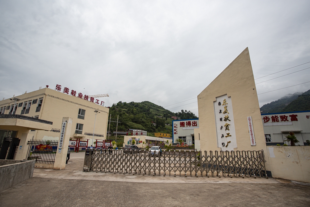 「建州七十」乐美携手共谱乡村振兴曲家乡巨变美姑人有了新盼头