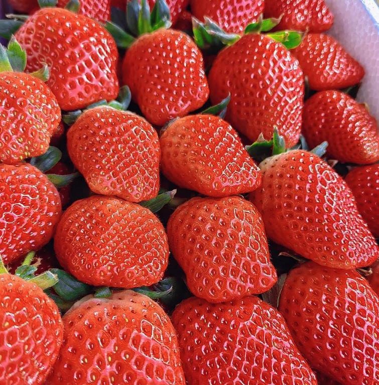 草莓批发的套路,市场上卖的草莓哪三种不能买