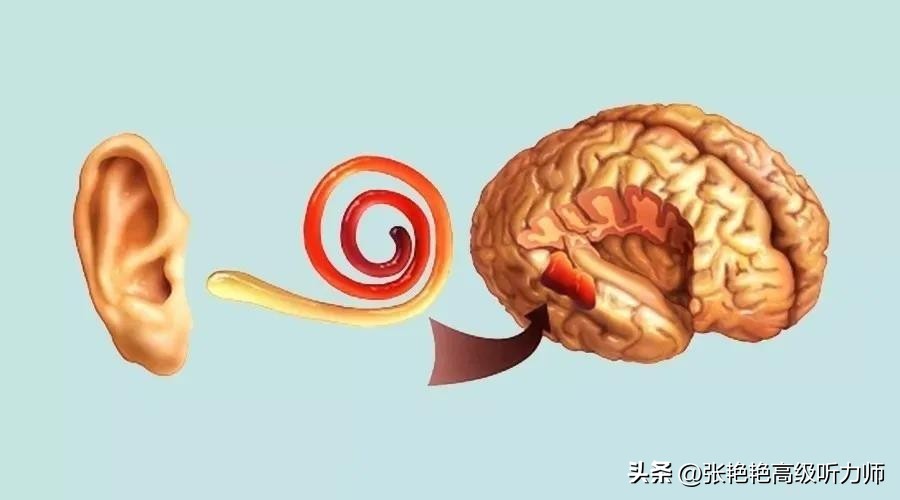 听力差怎么办教你一招,自己耳朵听不清楚怎么回复别人