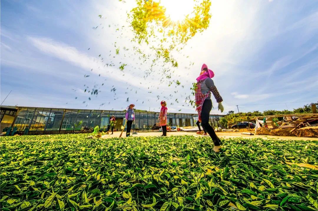 厦门的春节怎么过,厦门过春节怎么过