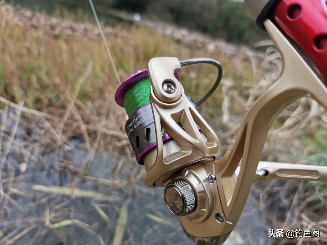 钓汪刺打窝技巧,冬季钓汪刺打窝技巧