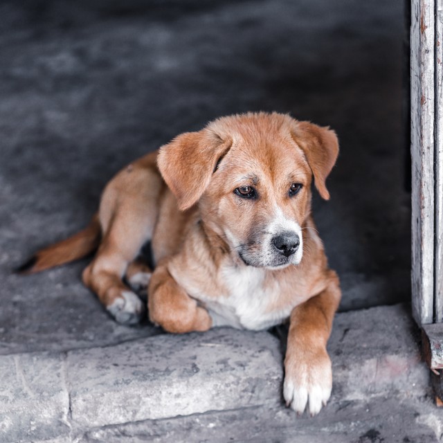 不露脸直播卖货能赚钱吗,不露脸直播卖教程赚钱吗