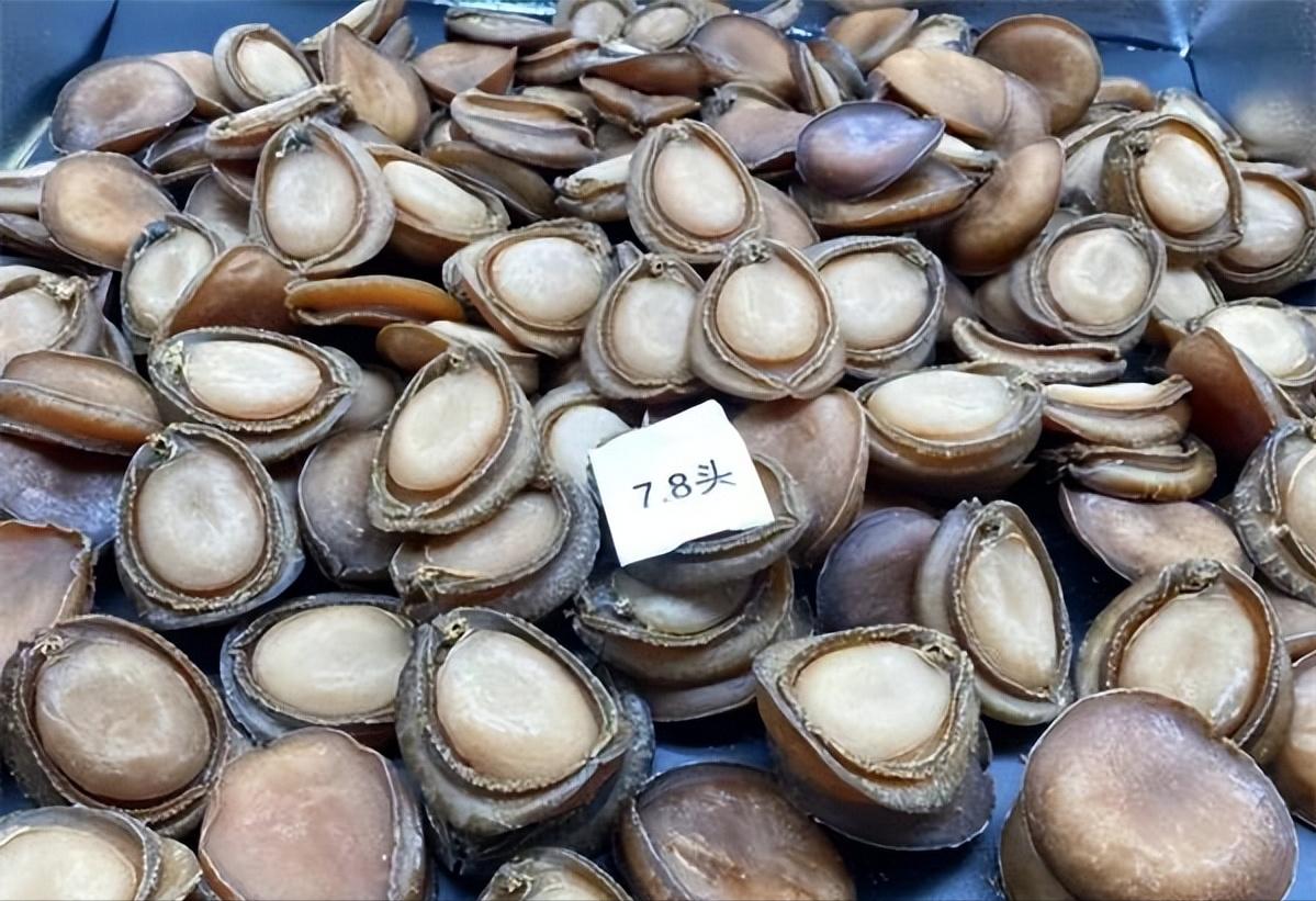 鲍鱼为什么比蛋黄鲍便宜,干鲍贵还是鲜鲍鱼贵