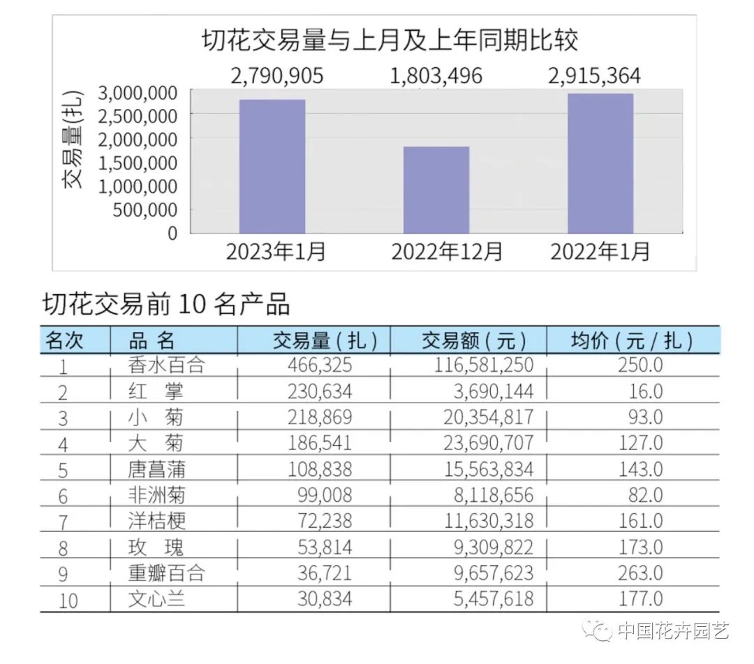 KIFA上海广州沈阳成都郑州昆明台北日本1月切花|行情