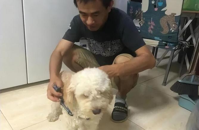 广东90后小伙鹤岗买房,90后女孩花4万买房移居鹤岗现状