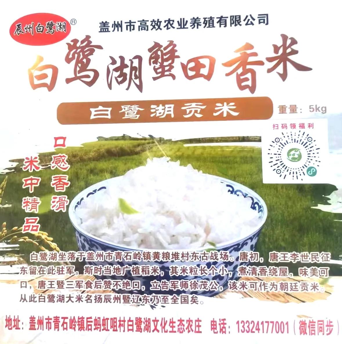 辽沈公益餐饮足球俱乐部举办新年联欢晚会