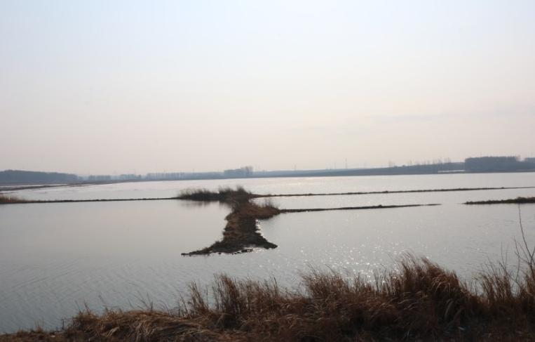 固铂at3可以装19寸的轮毂,更换长城炮备胎