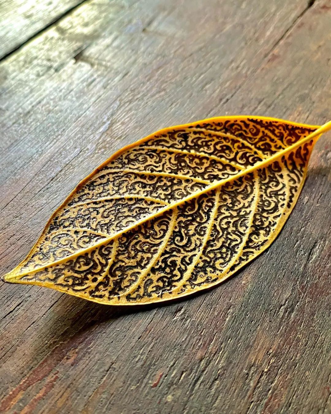 治愈强迫症的画,看了让人强迫症发作的画