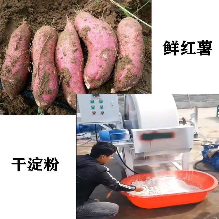 淀粉加工厂创业项目方案,红薯淀粉加工厂可行性报告