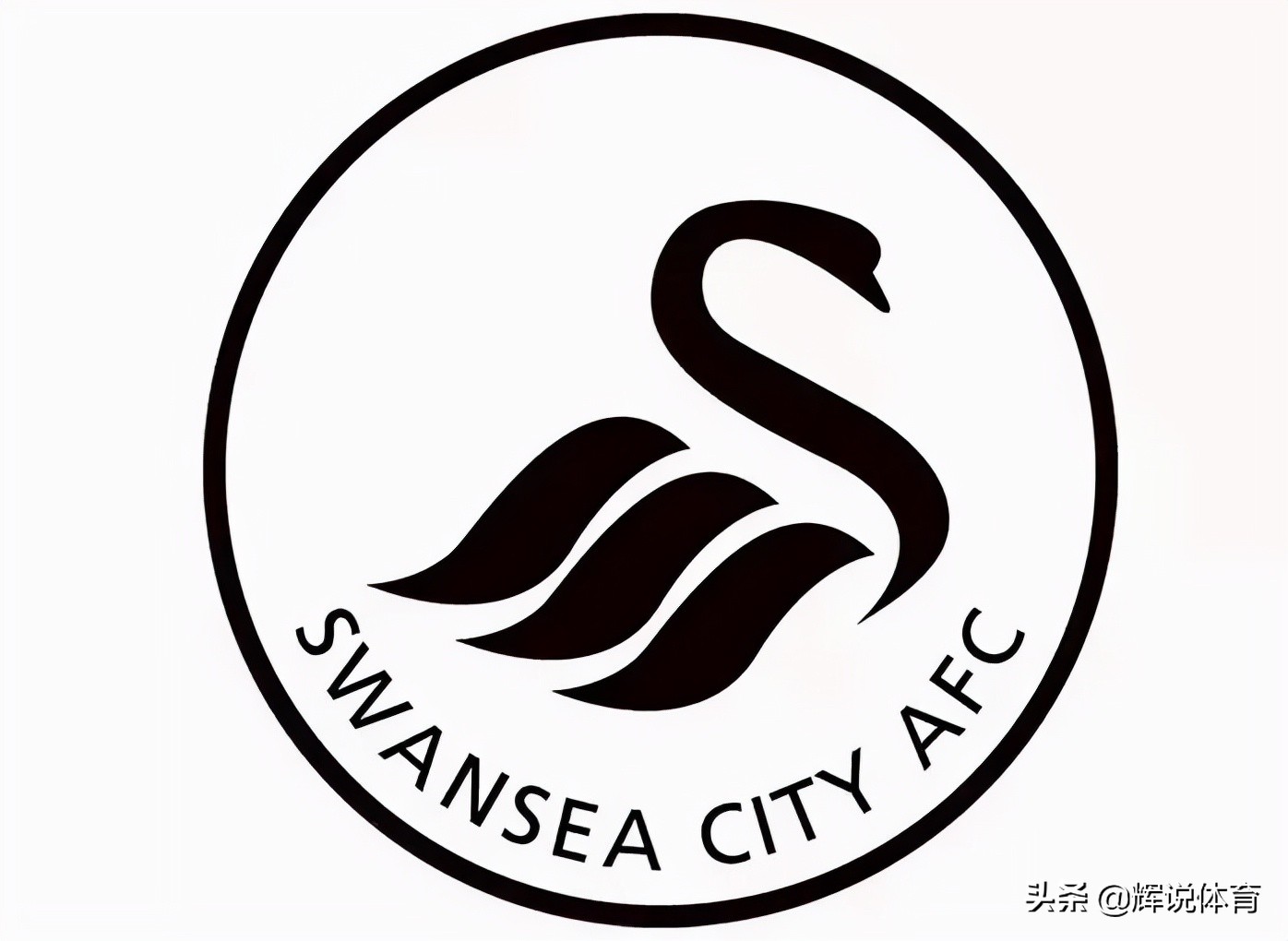 队徽是一只鹰的国家队,队徽是鸟的球队