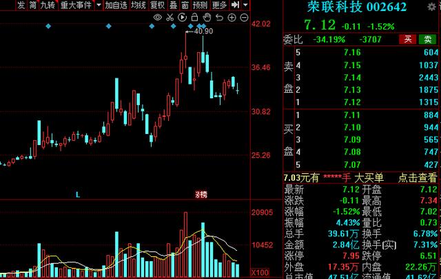 中国农民企业龙头股,中国股市大龙头