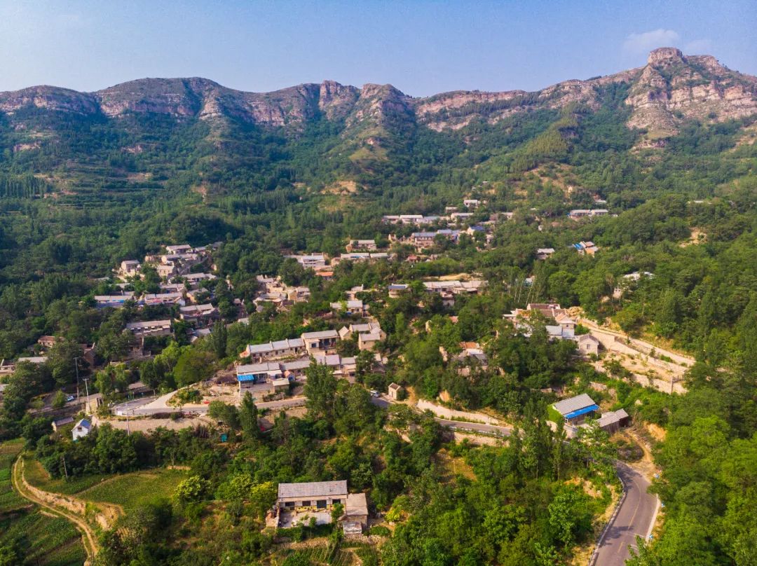 莱芜樱桃文化节,莱芜樱桃文化旅行节