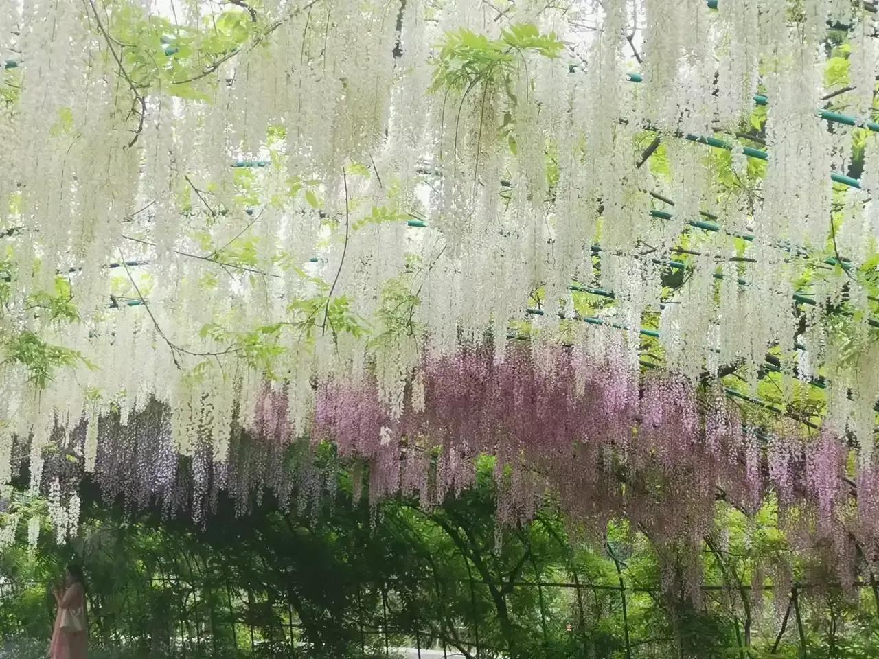 大生意靠什么小生意靠什么,生意火爆的小生意