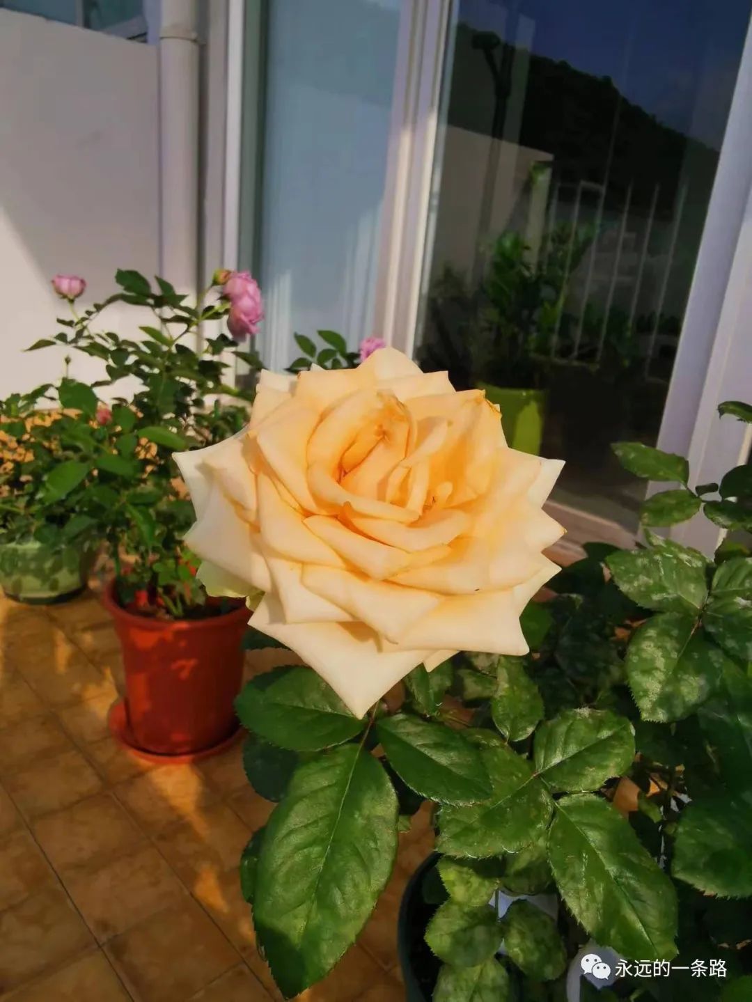 有情绪解决情绪,有情绪尽量别憋着