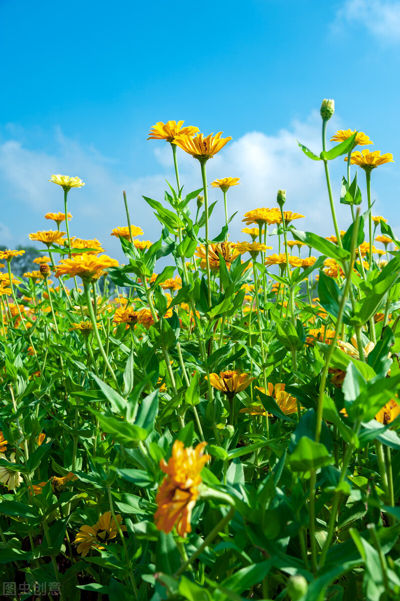 让自己变得强大的12个建议,让自己强大起来的20件事