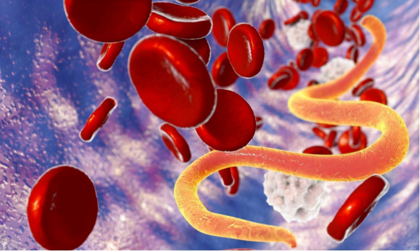 蛟是什么动物的特征,蛟是什么动物现实中存在吗