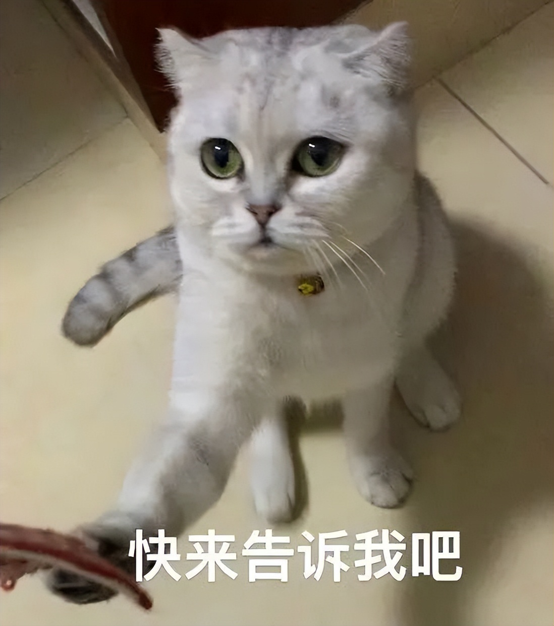 出入境热门问题解答一键get！