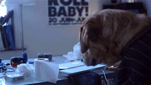 每天被腰痛醒来,每天都被牙齿痛醒