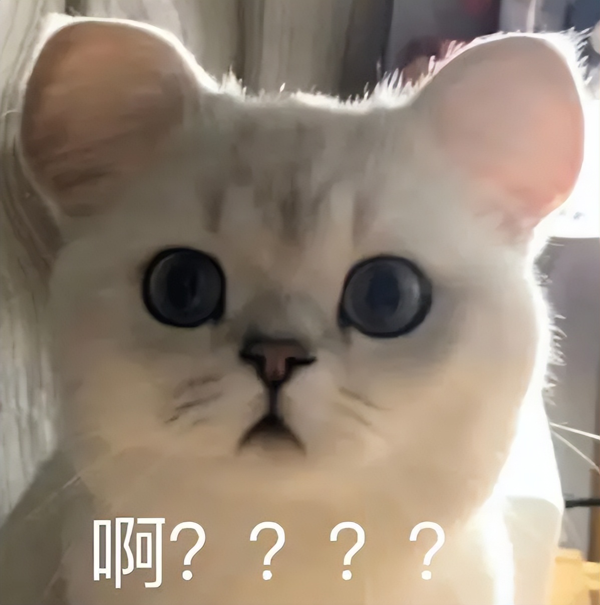 有路子进阿里？绍兴这家人被亲戚设局骗走700多万