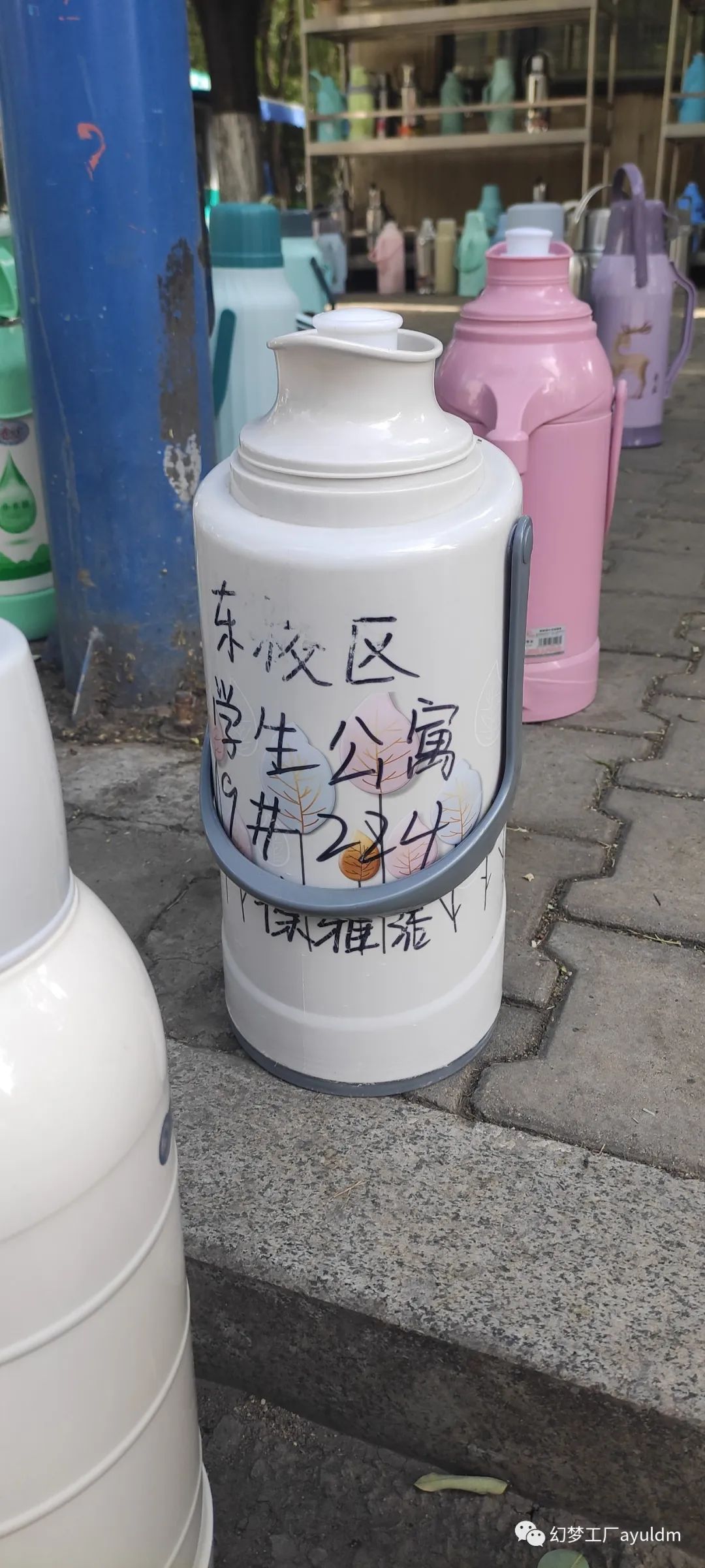 你好母校作文800字,你好母校作文