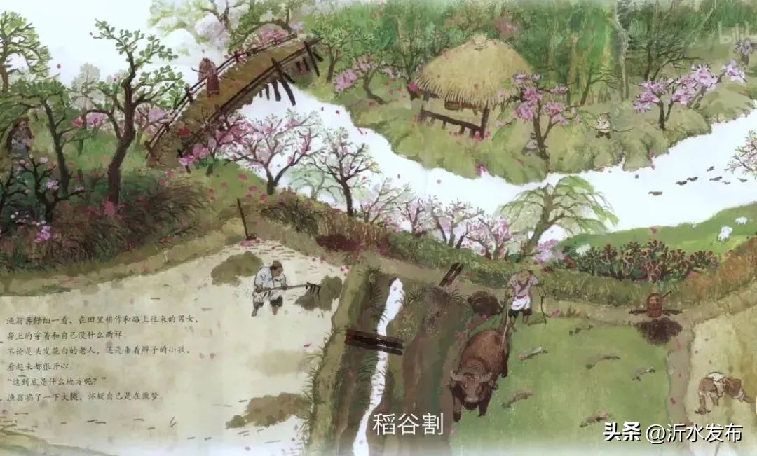 连她都敢请,这档综艺怎么想的