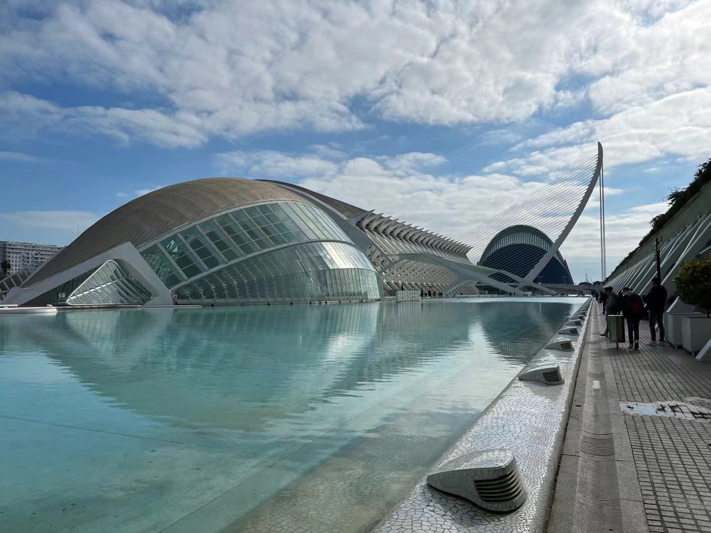 彩色旅图·西欧纪行｜瓦伦西亚的情人节，小贩在饭店外面卖鲜花