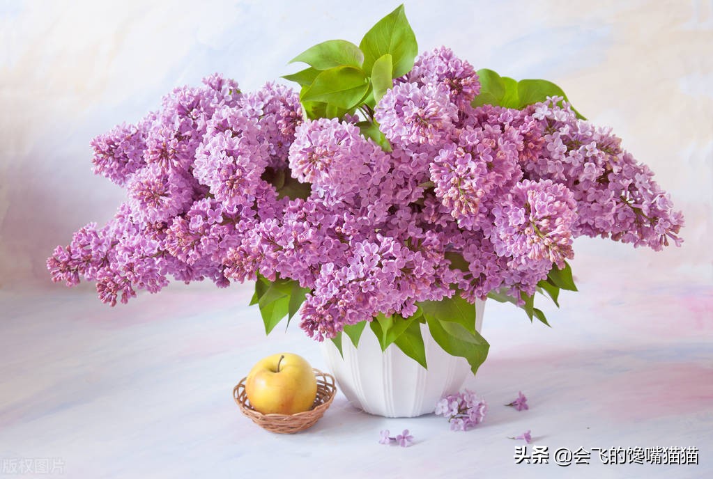 人活着要明白的十八个人情世故,人活着必须懂哪些人情世故