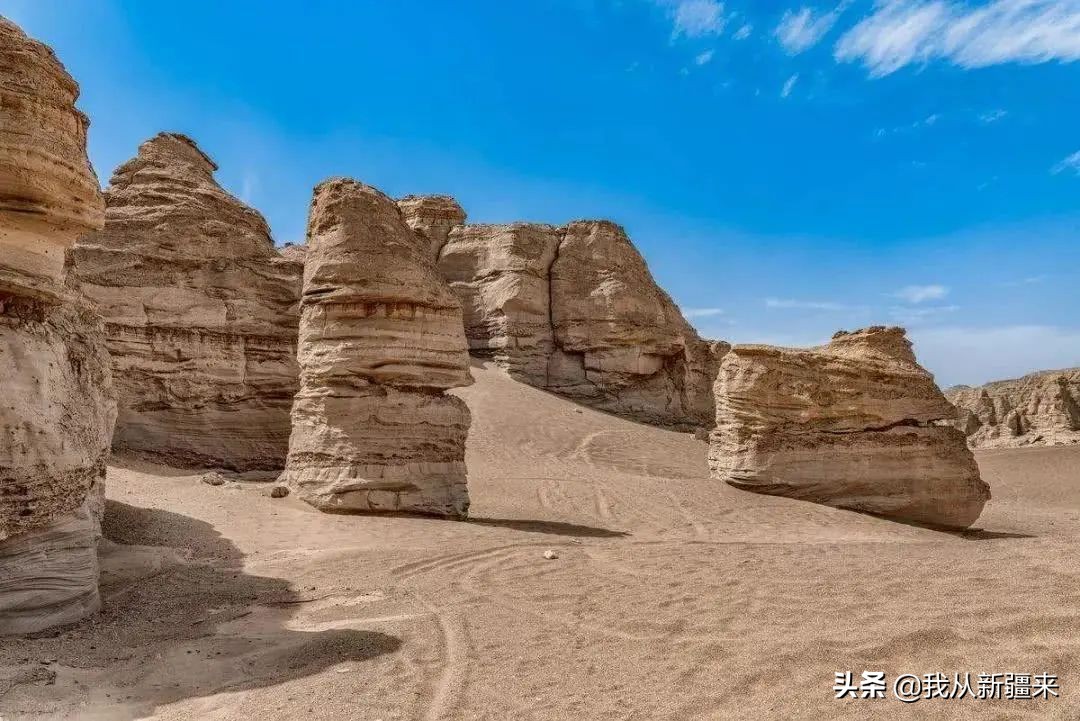 测评omg神仙眼影简直太美 (omg眼影值得入手吗)