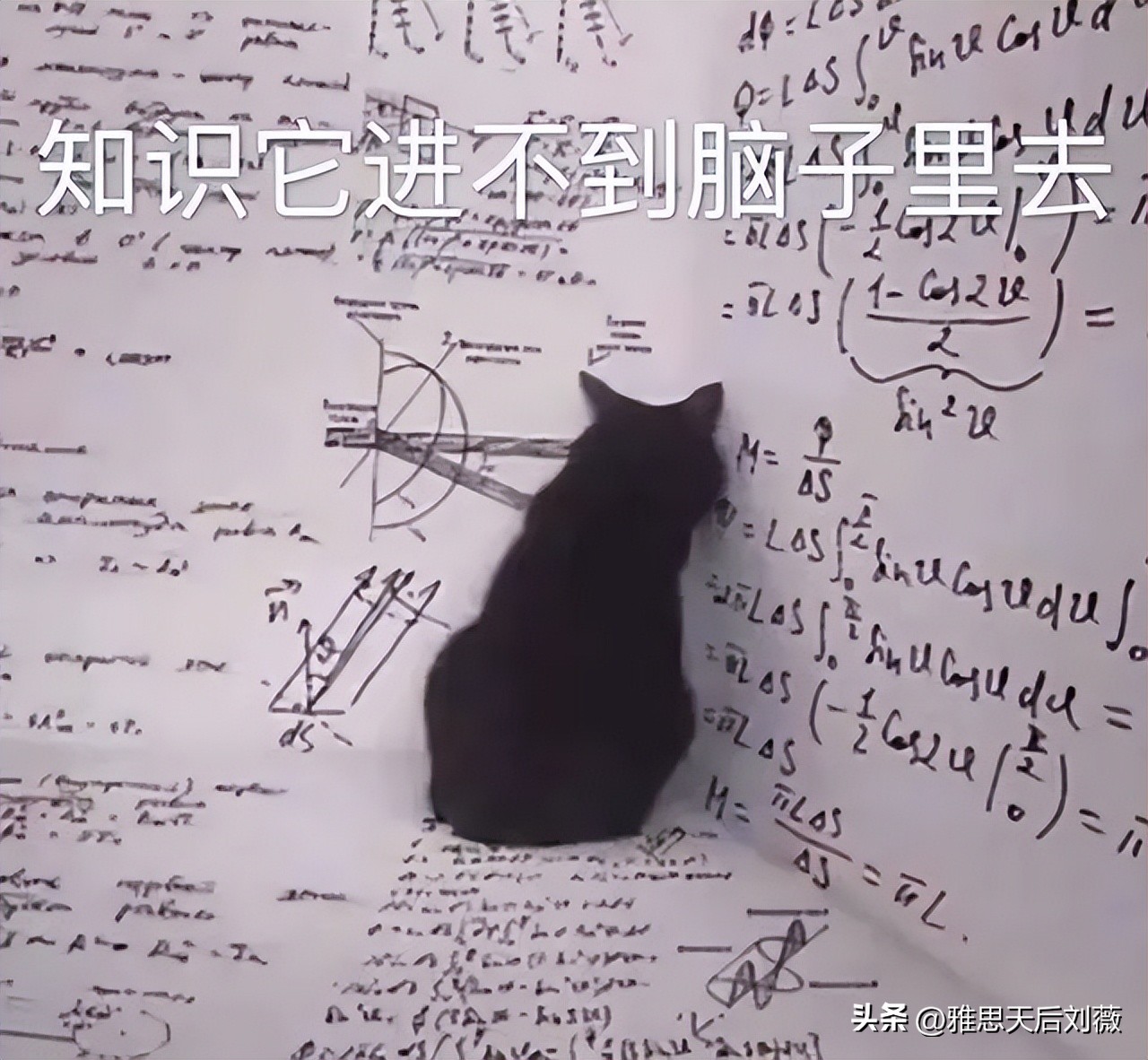 良性学习法,雅思高效备考技巧