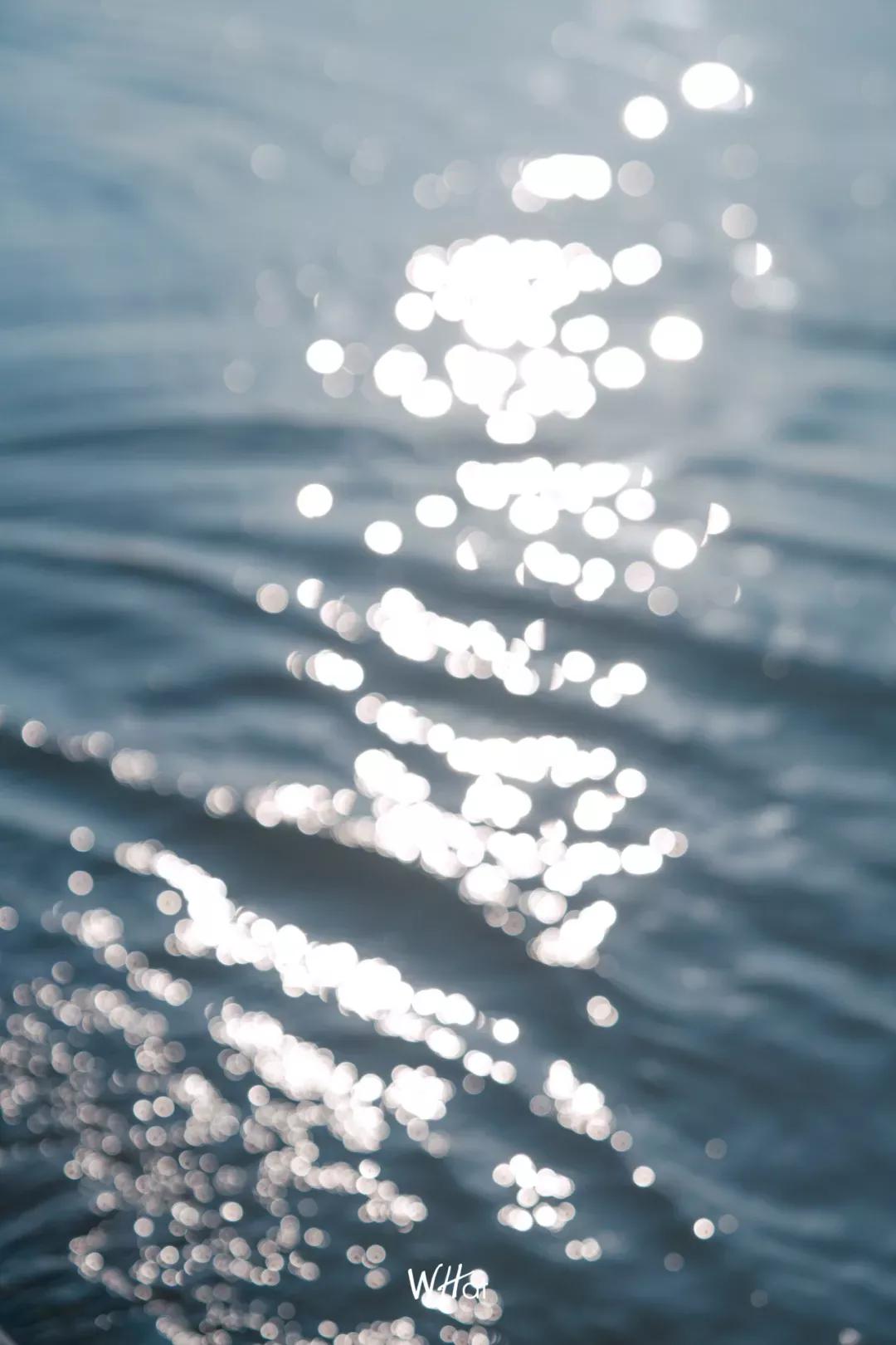 武汉人的冬天专属指南,武汉人的冬天为什么那么冷