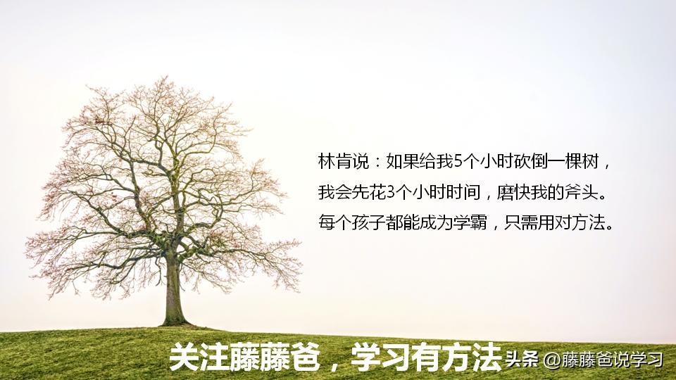 每日一首古诗我们一起来学咏柳,每天一首古诗词咏柳