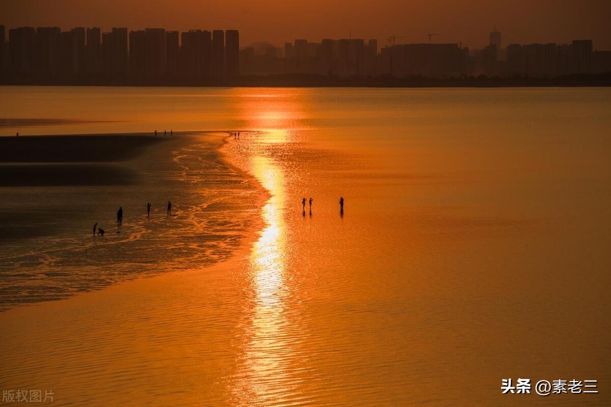 女作家去做保姆15年,女作家去做保姆奇葩的理由