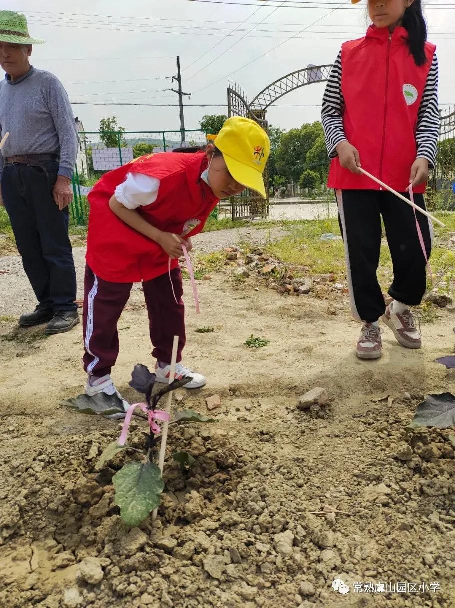 星光不负赶路人,春光不负赶路人视频