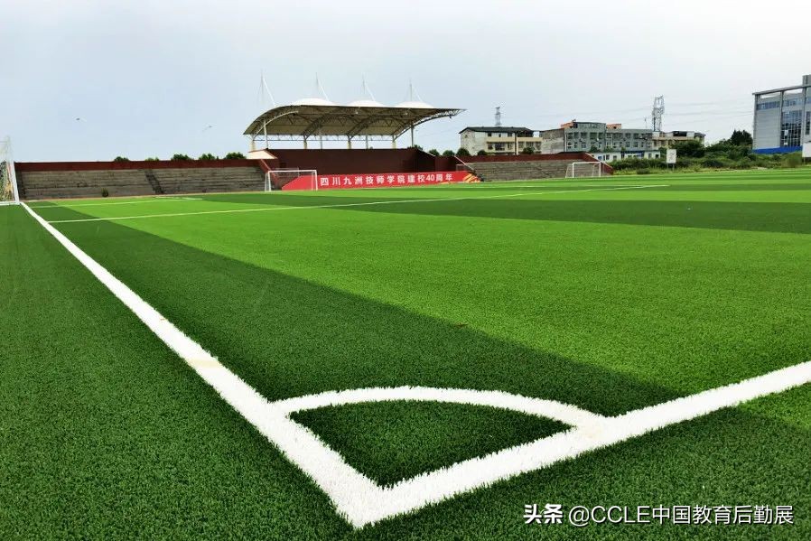 人工草坪厂家多利隆人造草坪,多利隆人造草坪一站式服务