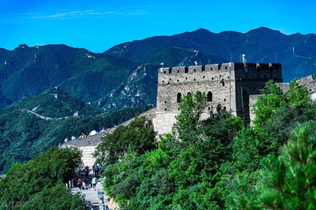 十大令人惊叹世界之最,十大让人惊叹的世界之最