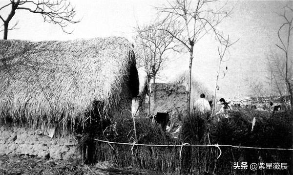 小岗村揭开中国农村改革序幕,小岗村给农村改革带来哪些启示