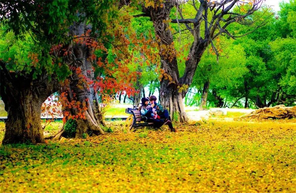 有一种生活叫大理的含义,有一种生活叫大理图片