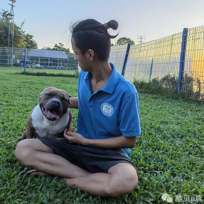 喜欢你混饭吃丨酷贝E族