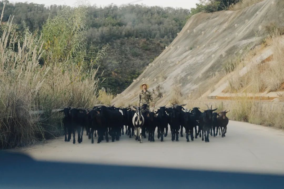 公司的旅游团建必须去吗,旅游团建机构有哪些好的