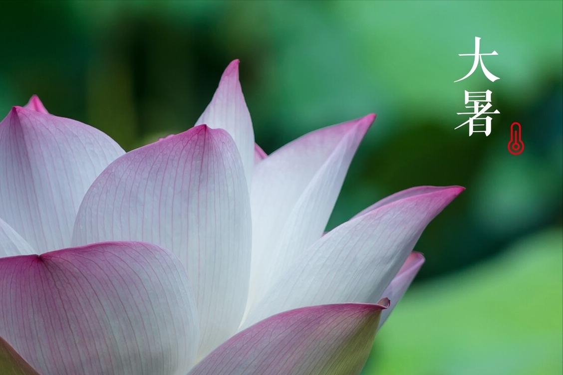 大暑多食一味少吃二物,大暑吃这种水果可温中补气开胃