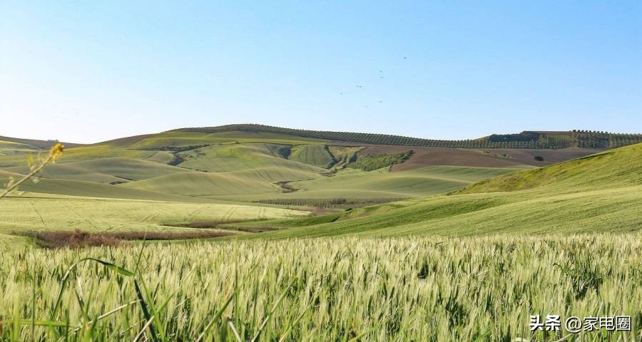 家电终端的变革,家电产业新契机