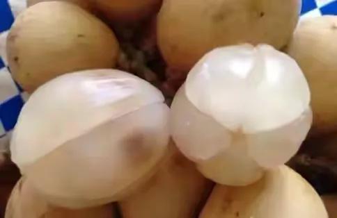 100多种罕见水果欣赏,100种罕见水果名字