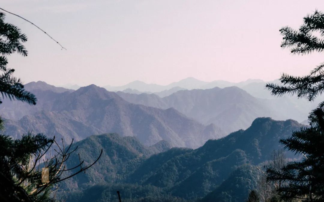 鍏泜绉樺,浠欏眳鍏泜绉樺