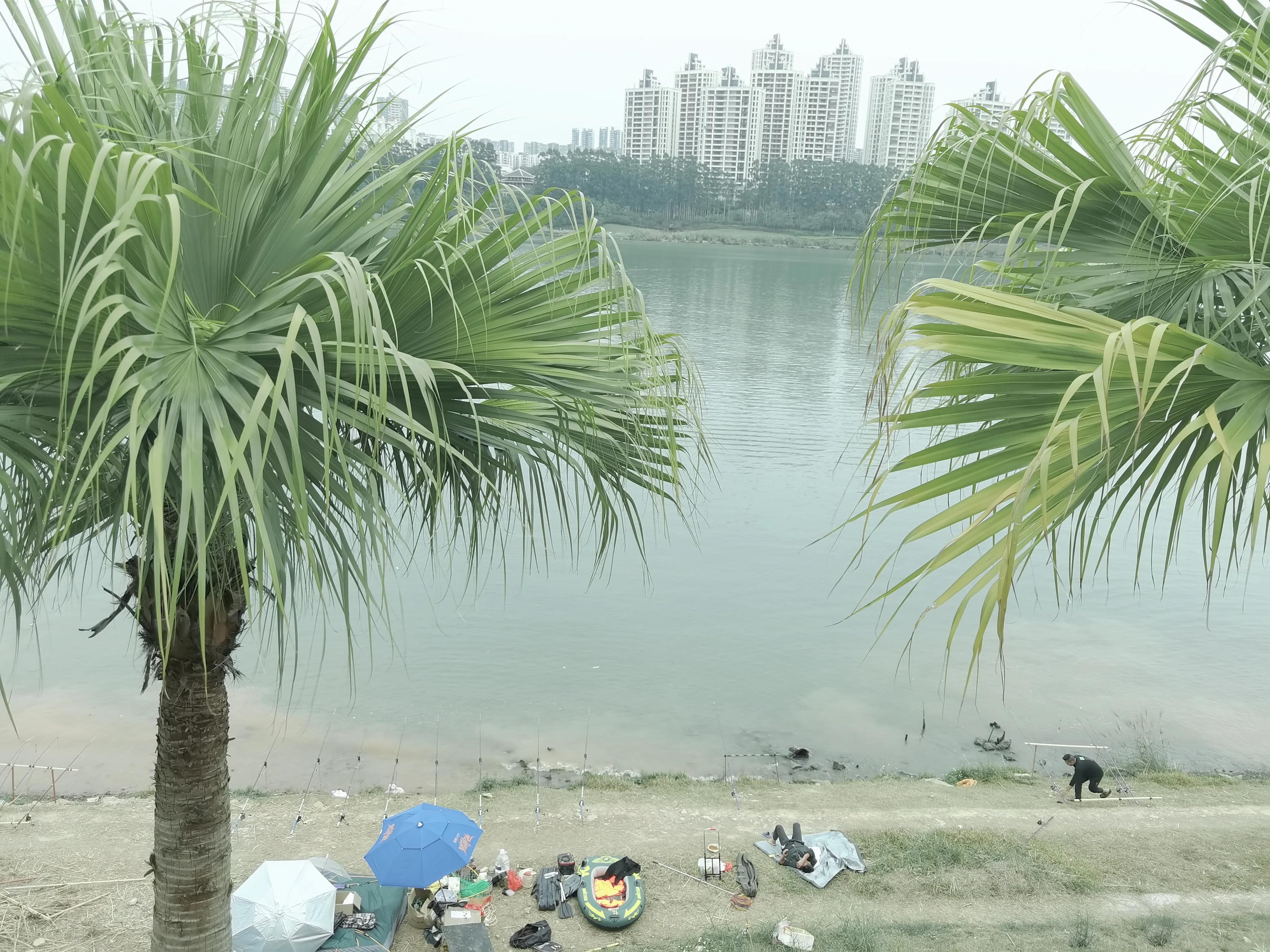 南宁是一个什么样的城市,南宁是个什么样的城市