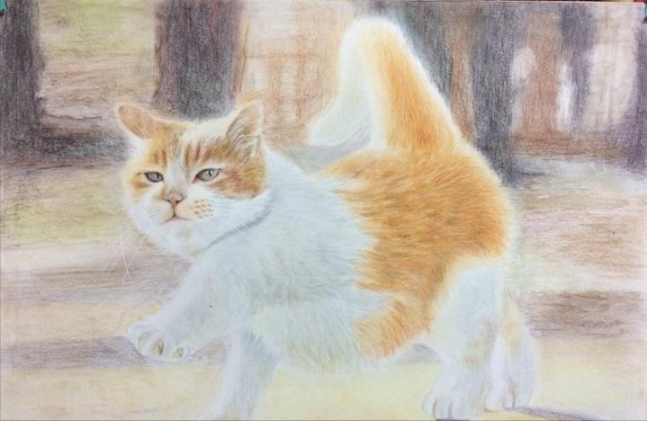 自学画画多久能画人像,自学画画最快几个月能工作