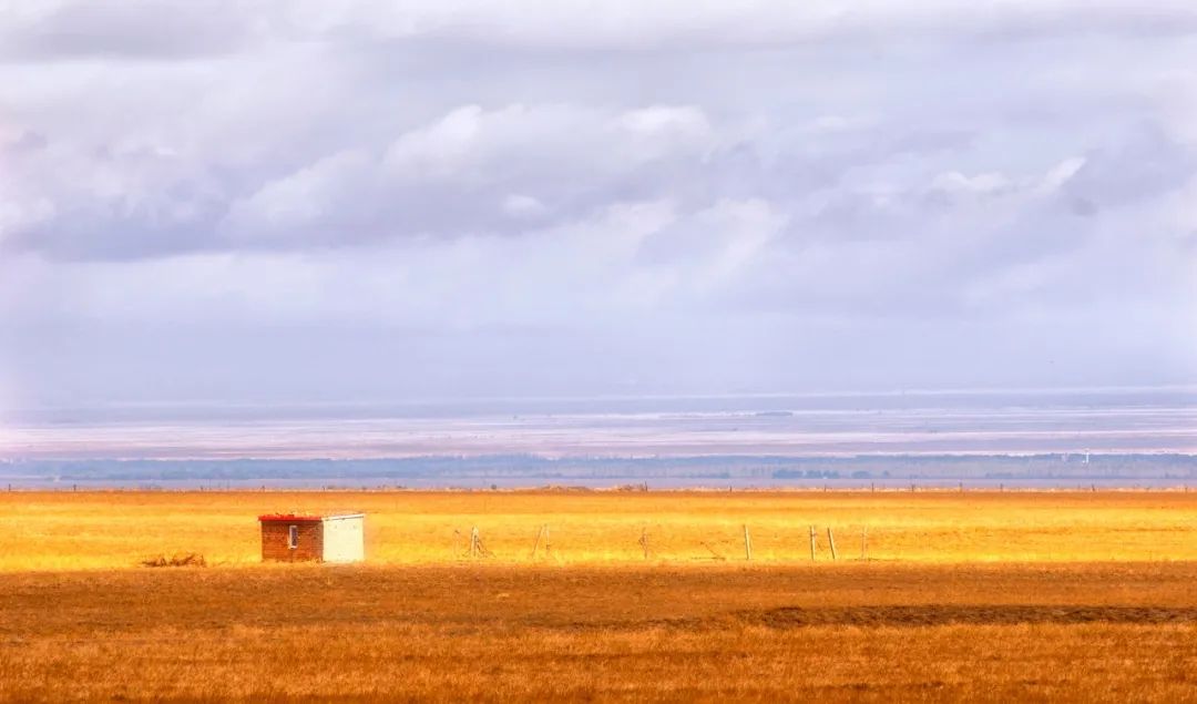 很心烦的时候应该干什么,心烦的时候该做些什么视频